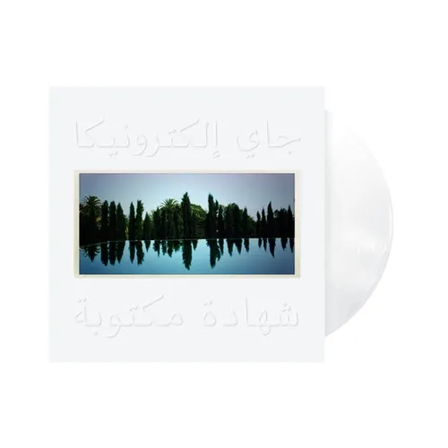 Jay Electronica - A Written Testimony vinyl record cover