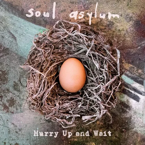 Soul Asylum - Hurry Up and Wait vinyl record cover