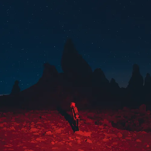 Phoebe Bridgers - Punisher vinyl record cover
