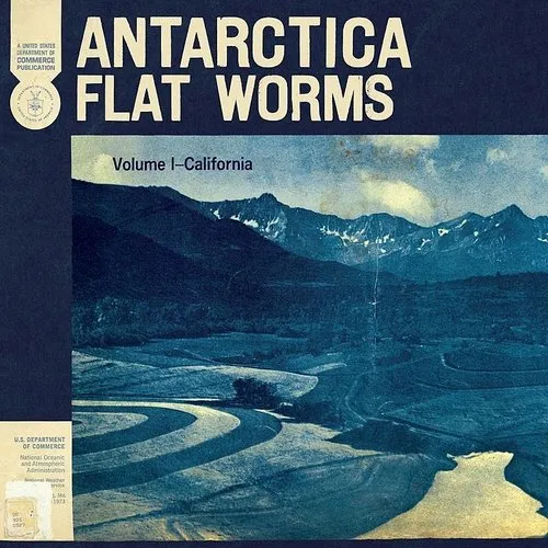 Flat Worms - Antarctica vinyl record cover