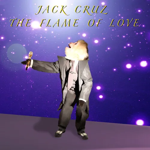 David Lynch / Jack Cruz - The Flame Of Love (Original Soundtrack) vinyl record cover