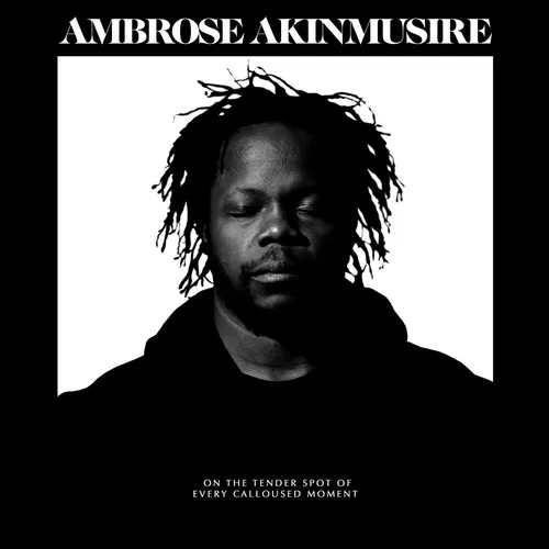 Ambrose Akinmusire - On The Tender Spot Of Every Calloused Moment vinyl record cover