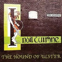 Hound of Ulster