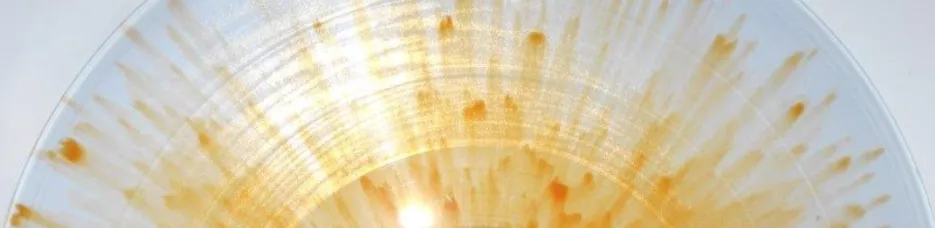 Indie Exclusive Ultra Clear with Orange Crush Splatters