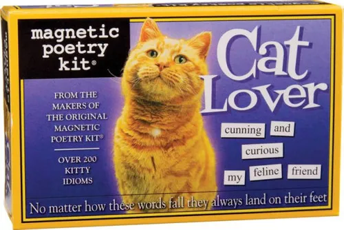 Artist - Cat Lover vinyl record cover