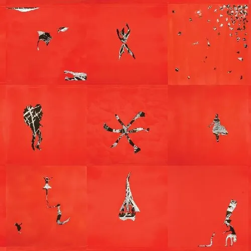 Animal Collective - Hollinndagain vinyl record cover