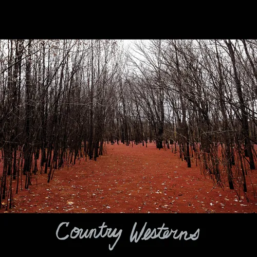 Country Westerns - Country Westerns vinyl record cover