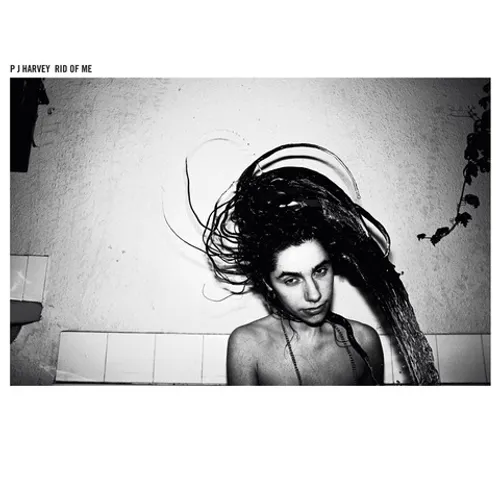 PJ Harvey - Rid Of Me vinyl record cover