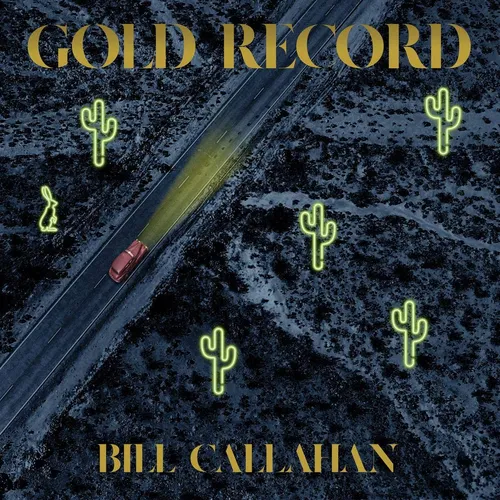 Bill Callahan - Gold Record vinyl record cover