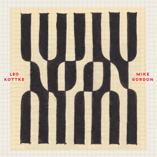 Leo Kottke &amp; Mike Gordon - Noon vinyl record cover