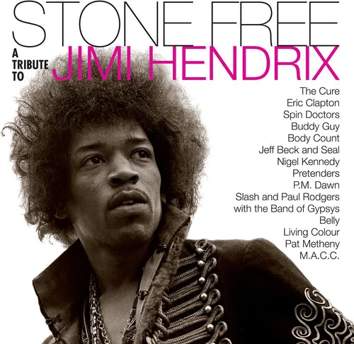 Various Artists - Stone Free: A Tribute To Jimi Hendrix vinyl record cover