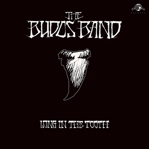 Budos Band - Long In The Tooth vinyl record cover