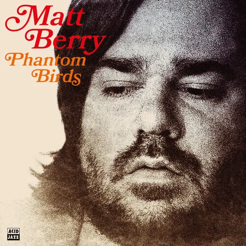 Matt Berry - Phantom Birds vinyl record cover