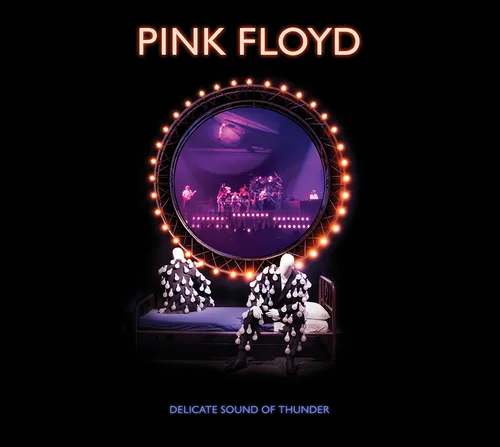 Pink Floyd - Delicate Sound Of Thunder: Remastered vinyl record cover