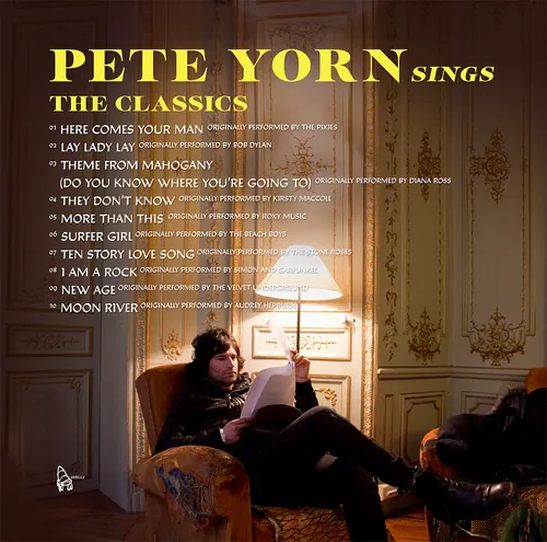 Pete Yorn - Pete Yorn Sings The Classics vinyl record cover