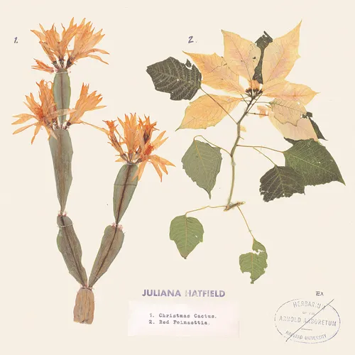 Juliana Hatfield - Christmas Cactus / Red Poinsettia vinyl record cover