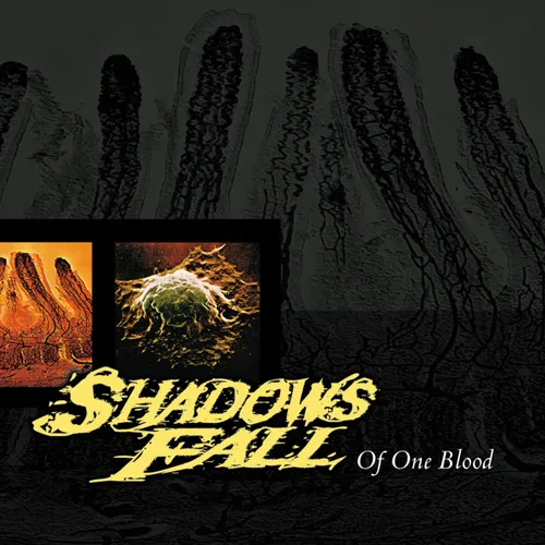 Shadows Fall - Of One Blood vinyl record cover