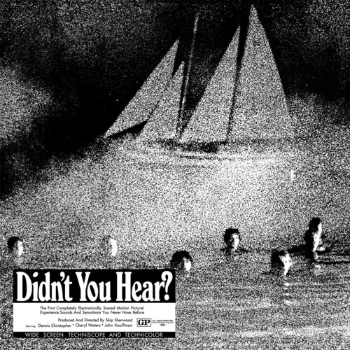 Mort Garson - Didn't You Hear? vinyl record cover