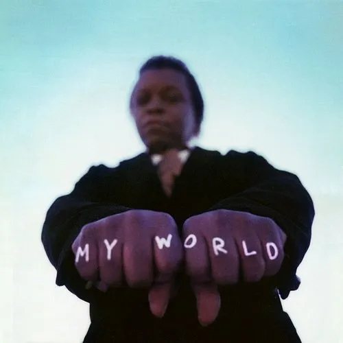 Lee Fields & The Expressions - My World vinyl record cover
