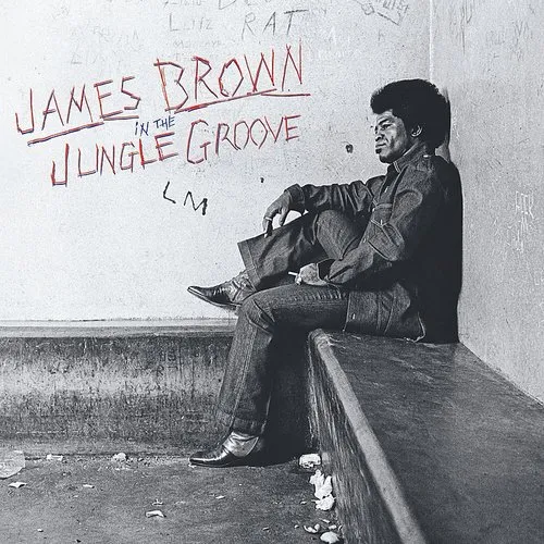 James Brown - In the Jungle Groove vinyl record cover