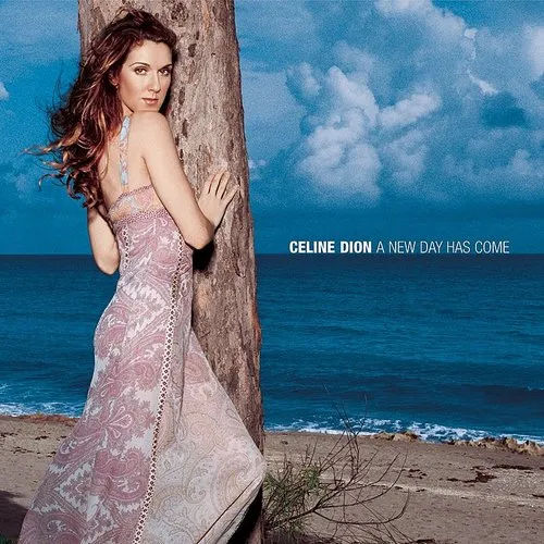 Celine Dion - A New Day Has Come vinyl record cover
