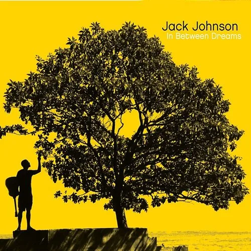 Jack Johnson - In Between Dreams vinyl record cover