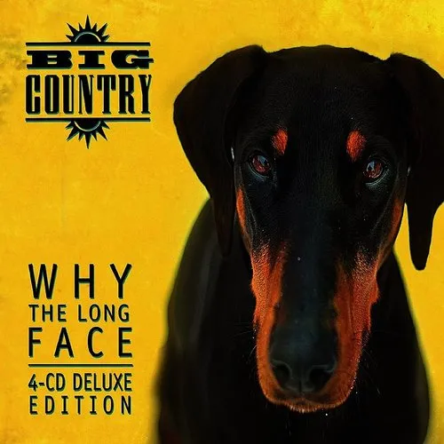 Big Country - Why The Long Face vinyl record cover