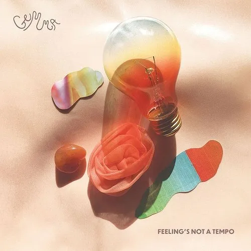 Gemma - Feeling's Not A Tempo vinyl record cover