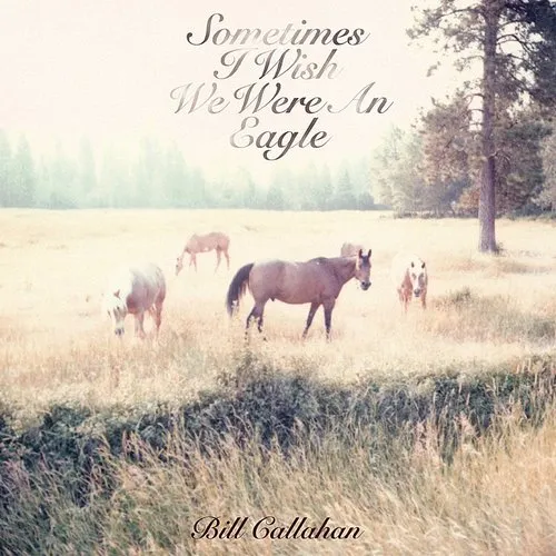 Bill Callahan - Sometimes I Wish We Were An Eagle vinyl record cover