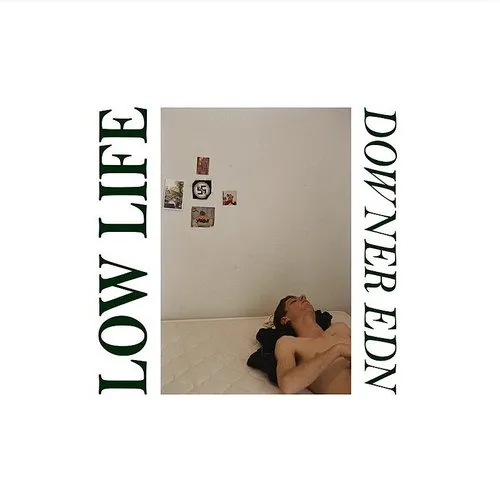 Low Life - Downer Edn vinyl record cover