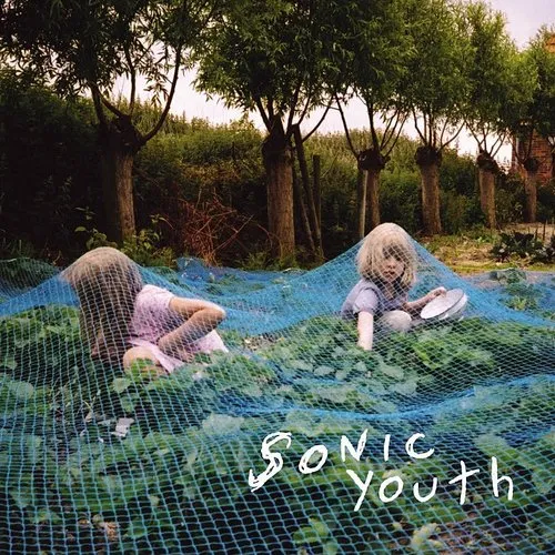 Sonic Youth - Murray Street vinyl record cover