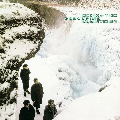 Echo & The Bunnymen - Porcupine vinyl record cover