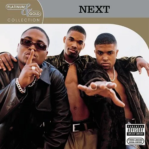 Next - Platinum and Gold Collection vinyl record cover