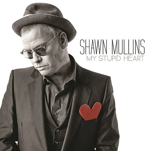 Shawn Mullins - My Stupid Heart vinyl record cover