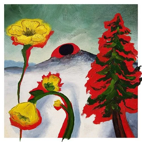Woods - Strange To Explain vinyl record cover