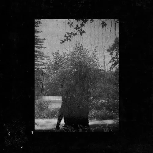 Grouper - Ruins vinyl record cover