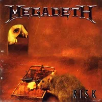 Risk (Bonus Track) (Jpn)