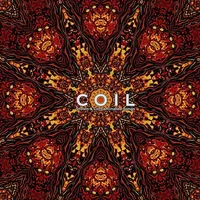 Stolen & Contaminated Songs