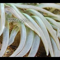 Nanofingers