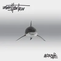 Acoustic