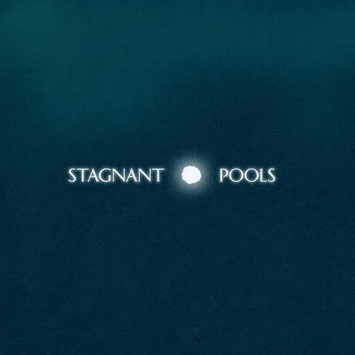 Stagnant Pools - Temporary Room vinyl record cover