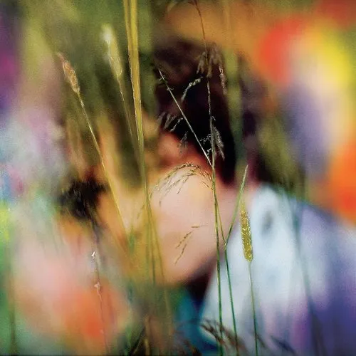 Sam Amidon - Sam Amidon vinyl record cover