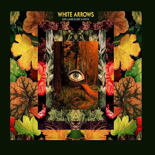 White Arrows - Dry Land Is Not a Myth vinyl record cover