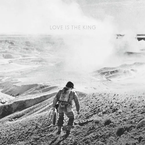 Jeff Tweedy - Love Is The King vinyl record cover