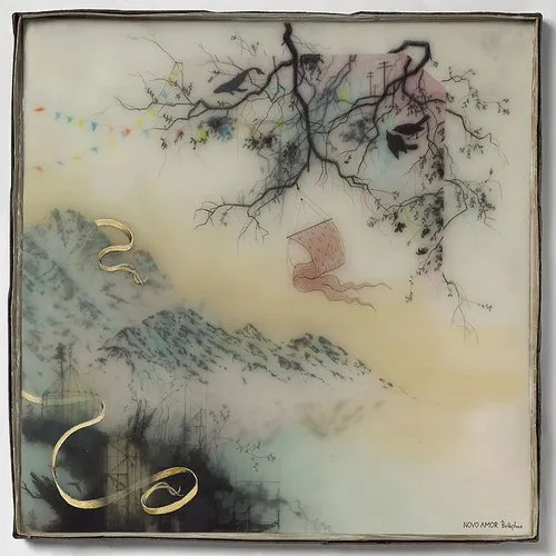 Novo Amor - Birthplace vinyl record cover