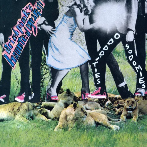 Ariel Pink - Odditties Sodomies Vol. 1 vinyl record cover