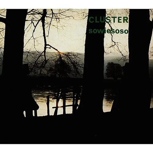 Cluster - Sowiesoso vinyl record cover