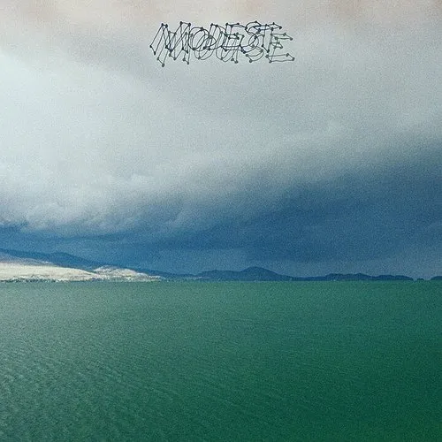 Modest Mouse - Fruit That Ate Itself vinyl record cover