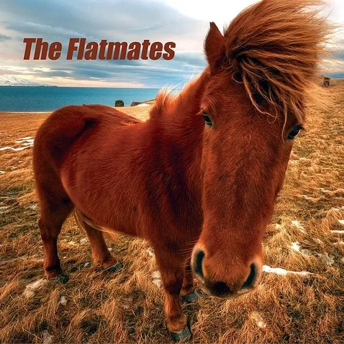 Flatmates - Flatmates vinyl record cover