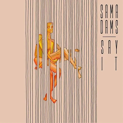 Sama Dams - Say It vinyl record cover